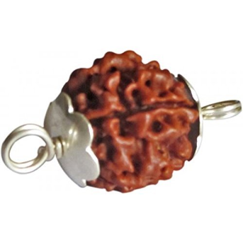 Original 13 mukhi Nepali Silver Capped Rudraksha bead with Lab Certificate