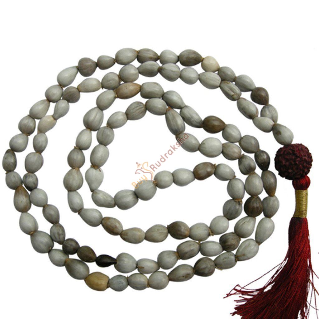 vaijayanti plant seeds Natural Vyjanthi Beej Mala, Vaijanti Beej Mala, Vaijayanthi Seed Mala