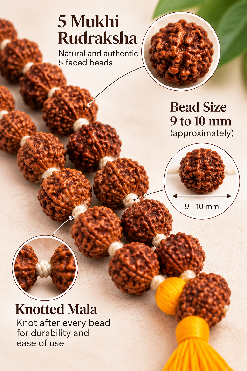 A string of brown 5 Mukhi Rudraksha beads for a knotting mala, shown with circular detail insets and text overlays explaining the beads' size and knotting process.