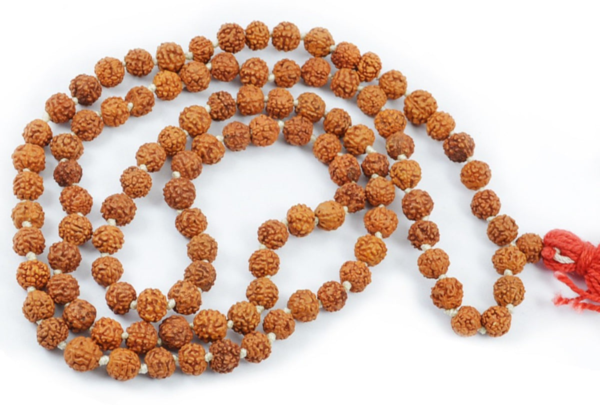 Original Rudraksha Mala 8 MM for Daily Wear or Mantra Japa
