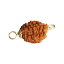 Original Certified Silver Capped Rudraksha beads online at cheapest price. Do mukhi.