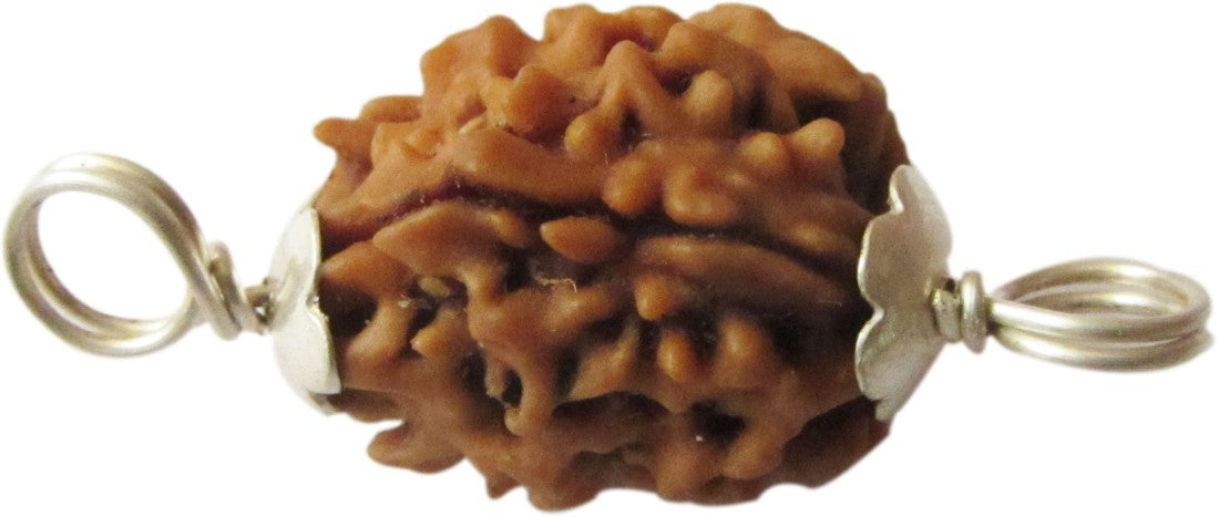 Certified Original Silver capped teen mukhi rudraksha beads nepali hindu healing beads 3 face