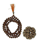 Original Rudraksha Mala + 5 Mukhi Rudraksha for Daily Wear or Mantra Japa With LAB Certificate