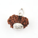 Original Gauri Shakar Nepali Rudraksha Bead with Lab Certificate (Silver Capped)