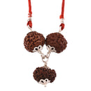 Buy Original Career Rudraksha Pendant 2 mukhi + 4 mukhi +7 mukhi Rudraksha beads Online cheapest