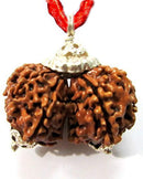 Original Gauri Shakar Nepali Rudraksha Bead with Lab Certificate (Silver Capped)