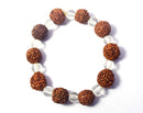 Original 5 Mukhi Rudraksha Sphatik Bracelet - Daily Wear Party Wear Gifts for Men and Women