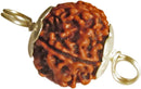 Original 4 Mukhi Nepali Rudraksha Beads with Lab Certificate (Silver Cap)